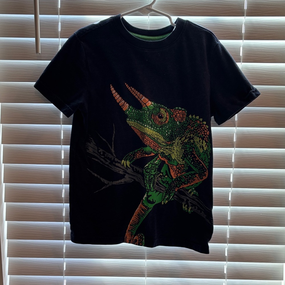 Cat & Jack Black Tee with Colorful Chameleon